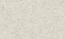 Обои Rasch Murano RM645668
