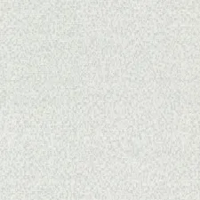59646