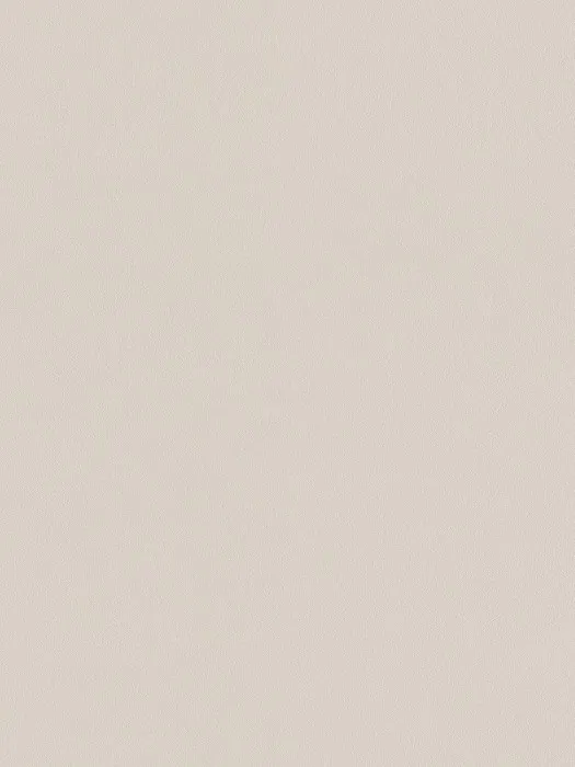 A100205