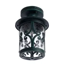 Уличный потолочный светильник Arte Lamp PERSIA A1453PF-1BG