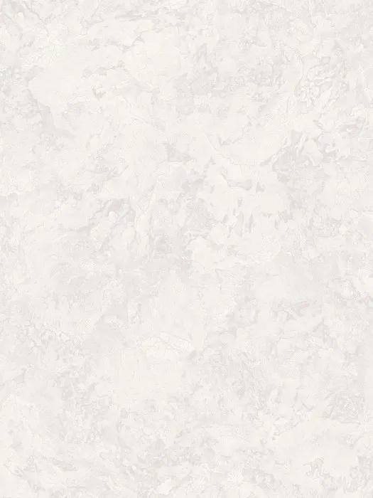 A75503