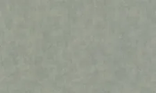 TI 1008