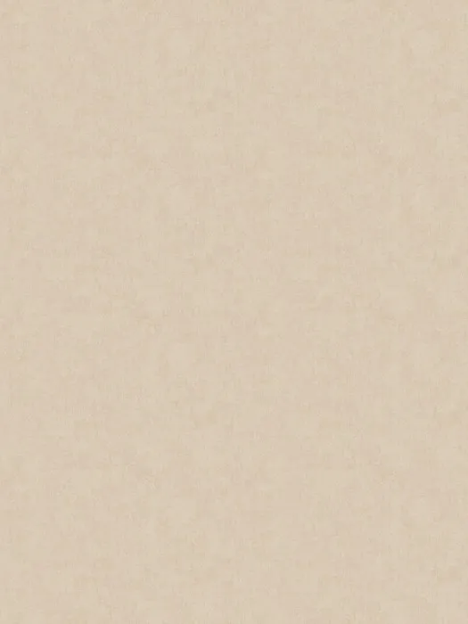 ARTS13 001-6