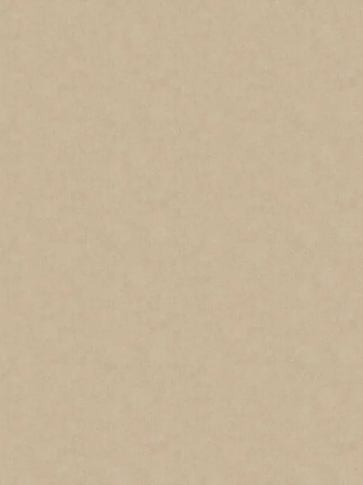 ARTS13 004-1