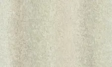 A55209