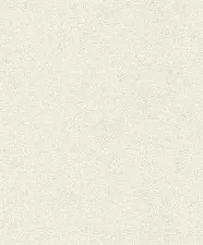 Обои Rasch Tapetenwechsel II 507058