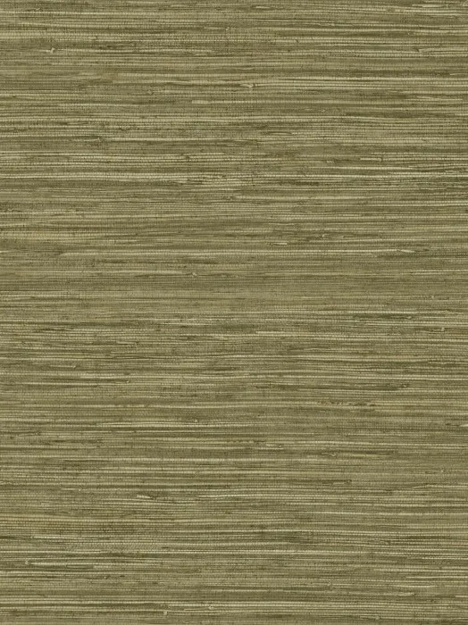DR1205