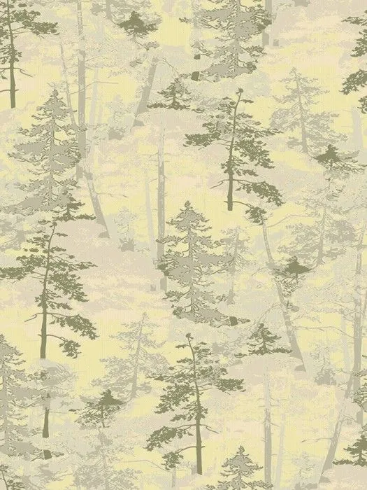AM2 005