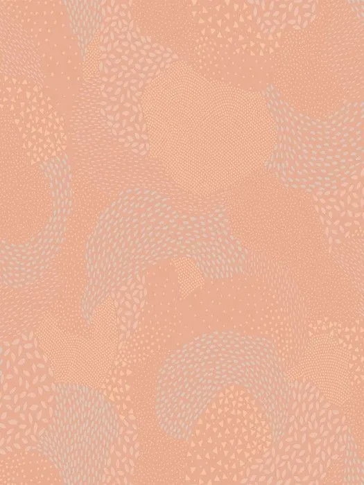 D2 007