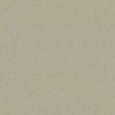 36116