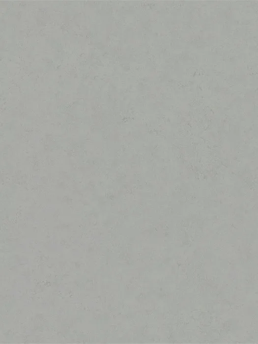 36219