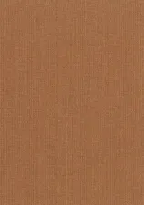 20024