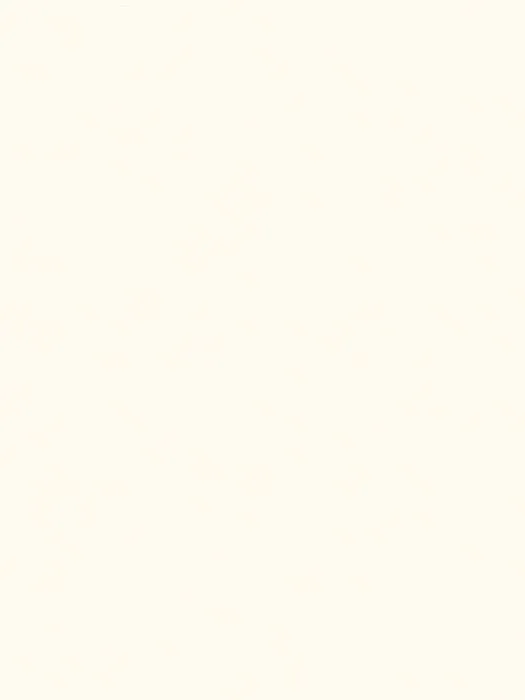 NP10 001-1