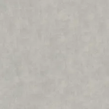 TI 1005