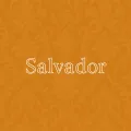 Обои Palitra Salvador | Дом Декора