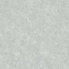 K9909C