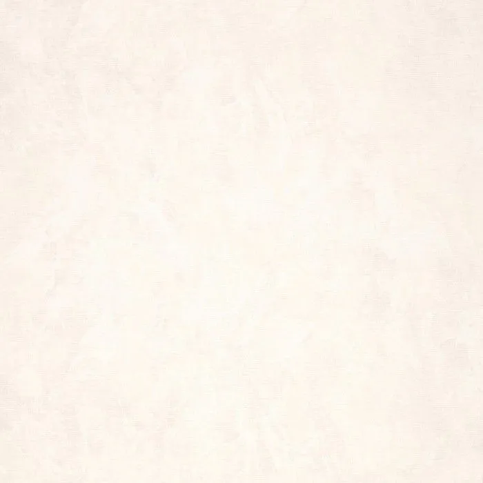 R11170