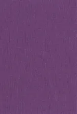 20033