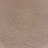 65438-21 R_1