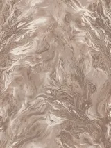R217118