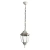 Уличный подвесной светильник Arte Lamp PEGASUS A3151SO-1WG | Дом Декора