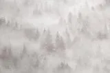 допкартинка