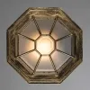 Уличный потолочный светильник Arte Lamp PEGASUS A3121PF-1BN | Дом Декора