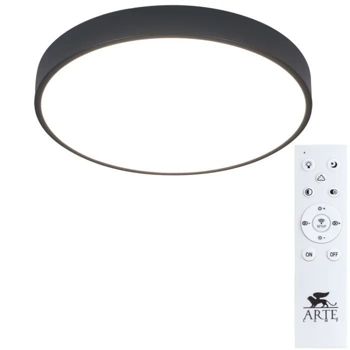 Потолочный светильник Arte Lamp ARENA A2661PL-1BK | Дом Декора