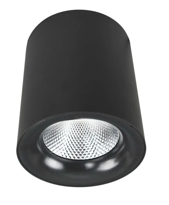 Точечный накладной светильник Arte Lamp FACILE A5112PL-1BK | Дом Декора