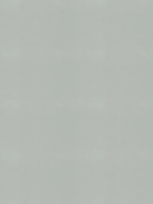 971460_1