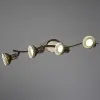 Спот Arte Lamp FOCUS A5219PL-4BR | Дом Декора