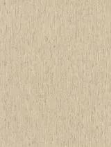 571066