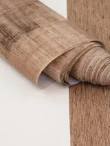 570960_4