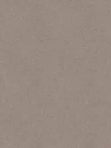520873_2