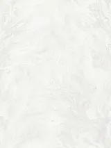 R217101