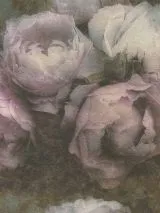 79268-1