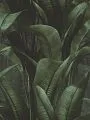 Обои Rasch Возвращение к природе (Back to Nature) 416237
