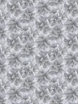 316254_1