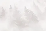 допкартинка