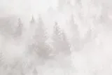 допкартинка
