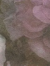 79268-1_1