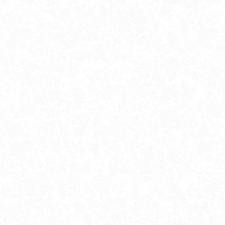 Обои Grandeco Originale R166001