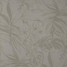 Обои Andrea Rossi Berggi 54446-2