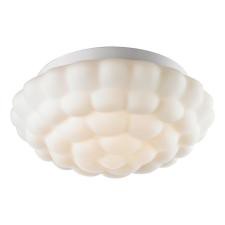 Накладной светильник Arte Lamp A5130PL-2WH