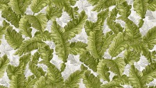 Обои Alessandro Allori Breeze RDT2201-7