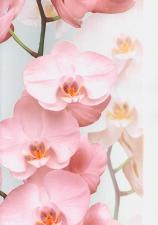 Обои Andrea Rossi Pianosa 54169-2