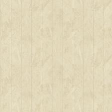 Обои Bruno Zoff Silver 60113-3