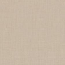 Обои Zambaiti Parati Philipp Plein Z80054