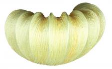 Настенный светильник Omnilux OML-42201-01