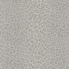 Обои Zambaiti Parati Philipp Plein Z80044